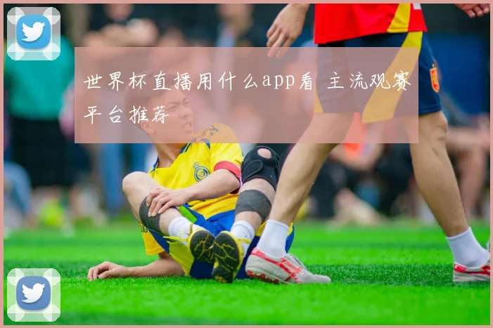 世界杯直播用什么app看 主流观赛平台推荐