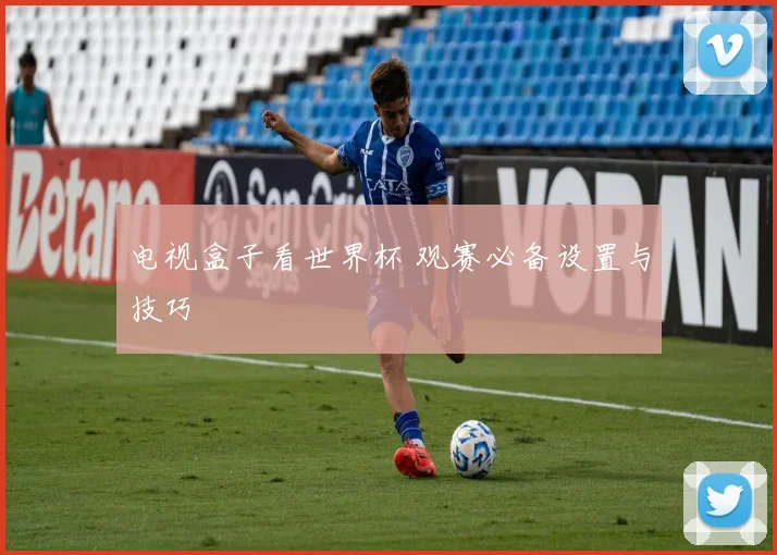 电视盒子看世界杯 观赛必备设置与技巧