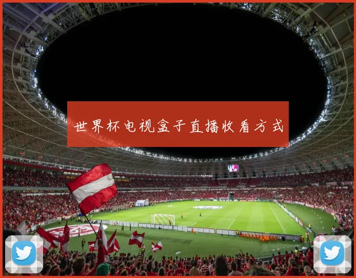 世界杯电视盒子直播收看方式