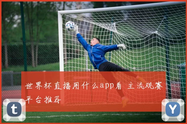 世界杯直播用什么app看 主流观赛平台推荐