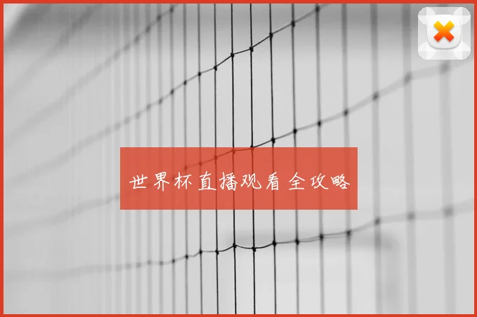 世界杯直播观看全攻略