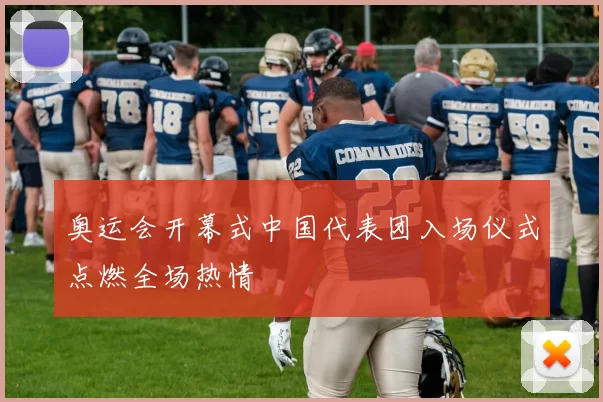 奥运会开幕式中国代表团入场仪式点燃全场热情