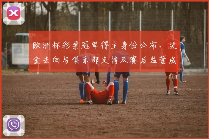 欧洲杯彩票冠军得主身份公布，奖金去向与俱乐部支持及赛后监管成关注点